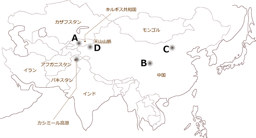 イラン　アフガニスタンパキスタンキスギス共和国 カザフスタンモンゴル 天山山脈インド  カシミール高  中国