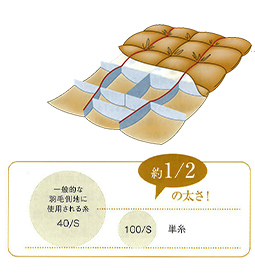 約1/2の大きさ