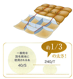約1/3の大きさ
