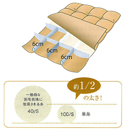 約1/3の大きさ