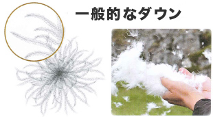 一般的なダウン