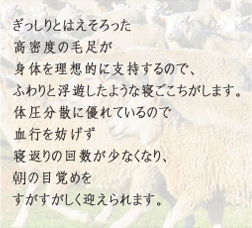 理想的に耐圧を分散しますぎっしりとはえそろった高密度の毛足が身体を理想的に支持するので、ふわりと浮遊したような寝ごこちがします。体圧分散に優れているので血行を妨げず寝返りの回数が少なくなり、麻の目覚めをすがすがしく迎えられます。