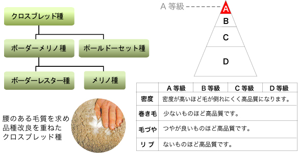 原材料詳細
