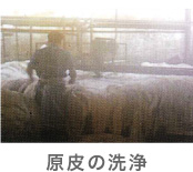 原皮の洗浄