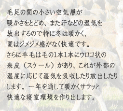 一年を通して快適に毛足の間の小さい空気層が暖かさをとどめ、また汗などの湿気を放出するので特に冬は暖かく、夏はジメジメ感がなく快適です。さらに羊毛は毛の1本1本にウロコ状の表皮(スケール)があり、これが外部の湿気に応じて湿気を吸収したり放出したりします。一年を通して暖かくサラッと快適な寝室環境を作り出します。
