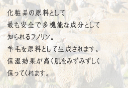 ラノリンがお肌いたわります化粧品の原料として最も安全で多機能な成分として知られるラノリン。羊毛を原料として生成されます。保湿効果が高く肌をみずみずしく保ってくれます。
