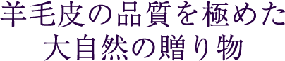 羊毛皮の品質を極めた大自然の贈り物